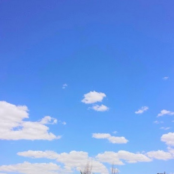 Meet your Posher, Nikiya - Picture 1 of 1